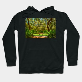 Cumberland Island National Seashore Hoodie